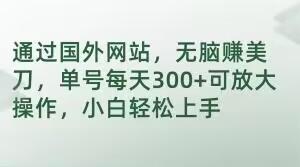 通过国外网站，无脑赚美刀，单号每天300+可放大操作，小白轻松上手【揭秘】-腾渊论坛