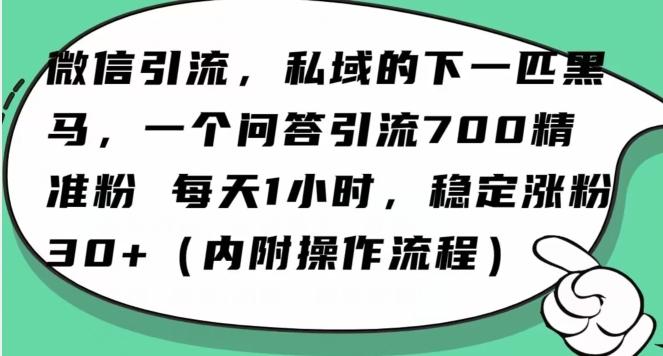 怎么搞精准创业粉？微信新赛道，每天一小时，利用Ai一个问答日引100精准粉-腾渊网创