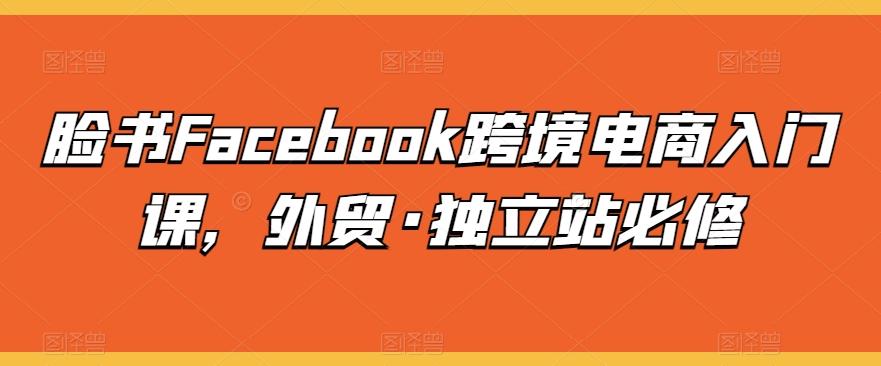 脸书Facebook跨境电商入门课，外贸·独立站必修-腾渊网创