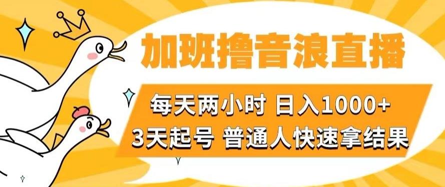 加班撸音浪直播，每天两小时，日入1000+，直播话术才3句，3天起号，普通人快速拿结果【揭秘】-腾渊论坛