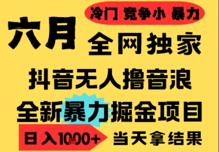 25年6月高爆抖音无人直播最新撸音浪掘金项目，小白可做，无脑日入1k+，门槛低可批量矩阵【揭秘】-腾渊网创
