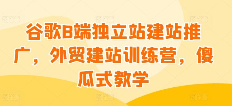 谷歌B端独立站建站推广，外贸建站训练营，傻瓜式教学-腾渊网创