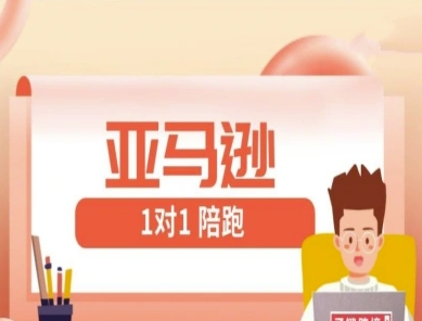 亚马逊1对1陪跑课(FBA/FBM精铺)跨境亚马逊教程-腾渊网创