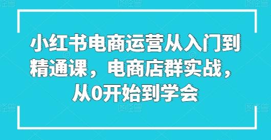 小红书电商运营从入门到精通课，电商店群实战，从0开始到学会-腾渊网创