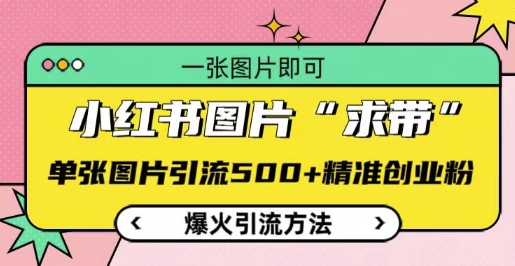 小红书图片‘求带’爆火引流法，单张图片引流500+精准创业粉【揭秘】-腾渊网创