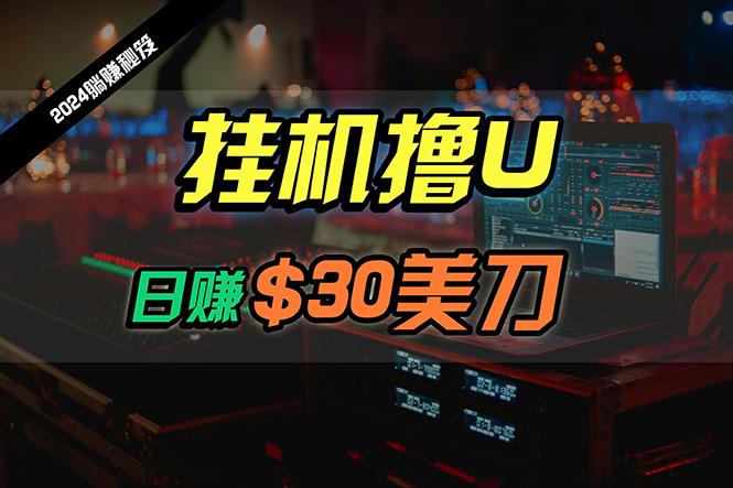 (10013期)日赚30美刀，2024最新海外挂机撸U内部项目，全程无人值守，可批量放大-腾渊网创