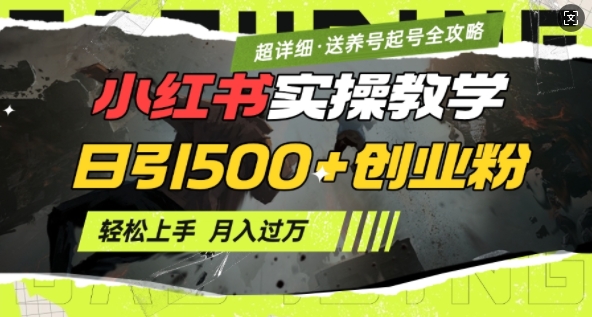 2月小红书最新日引500+创业粉实操教学【超详细】小白轻松上手，月入1W+，附小红书养号起号SOP-腾渊网创