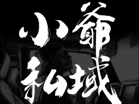 小爷·私域项目操盘手-腾渊论坛