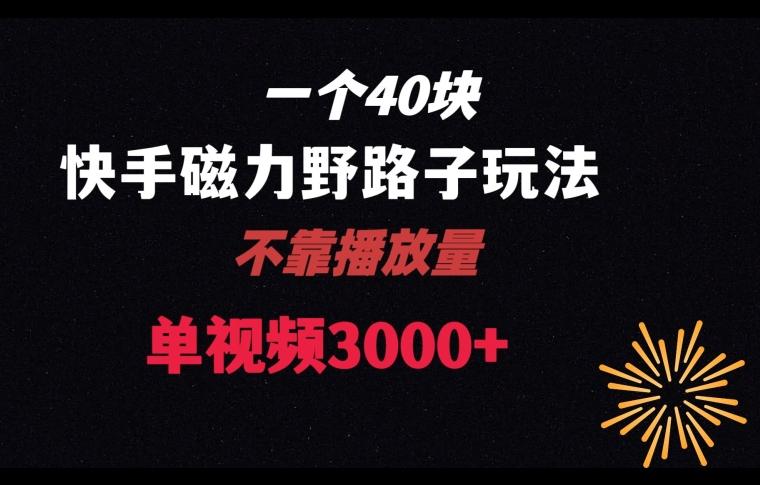 一个40块，快手联合美团磁力新玩法，无视机制野路子玩法，单视频收益4位数【揭秘】-腾渊网创