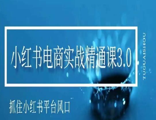 小红书电商实战精通课3.0，抓住小红书平台的风口，不错过有一个赚钱的机会-腾渊网创