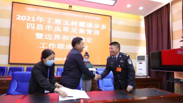 服务器管理优化：为网站 SEO 提供稳定环境-腾渊论坛