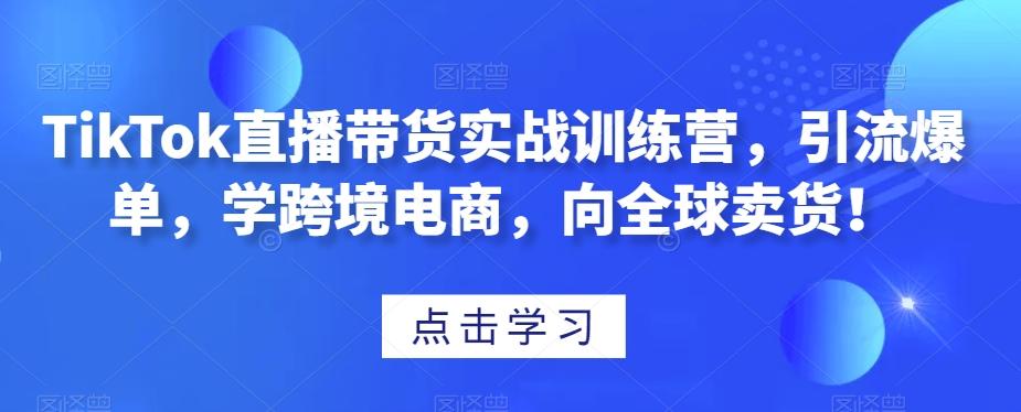 TikTok直播带货实战训练营，引流爆单，学跨境电商，向全球卖货！-腾渊网创