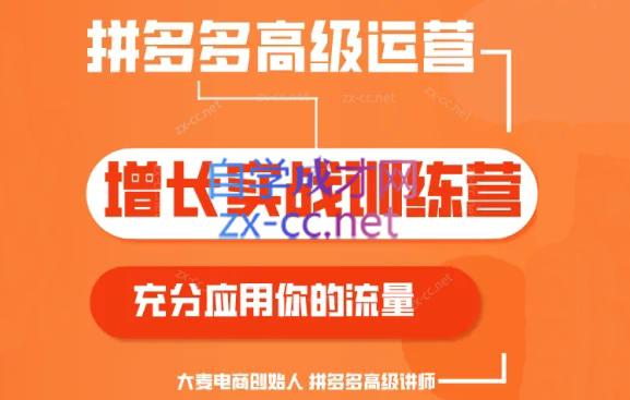 大麦老师·拼多多单品爆款打造课程(更新6月)-腾渊网创