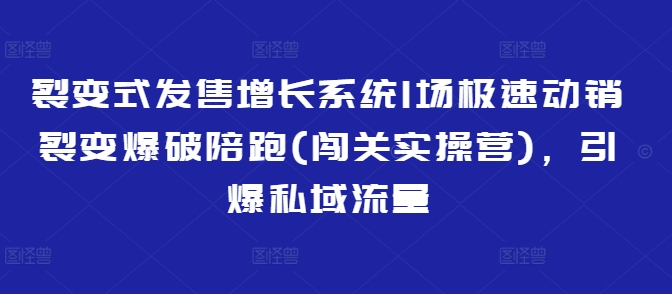 裂变式发售增长系统1场极速动销裂变爆破陪跑(闯关实操营)，引爆私域流量-腾渊网创
