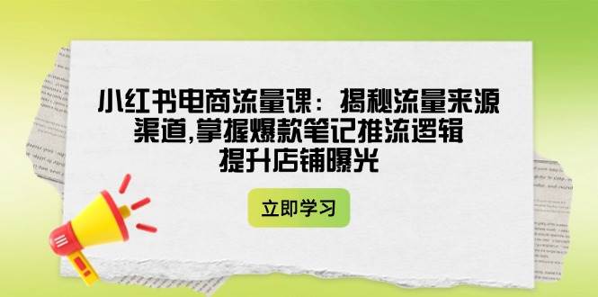 小红书电商流量课：揭秘流量来源渠道,掌握爆款笔记推流逻辑,提升店铺曝光-腾渊网创