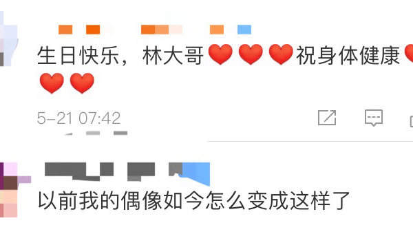 卧室摆放大叶植物风水好吗-腾渊论坛