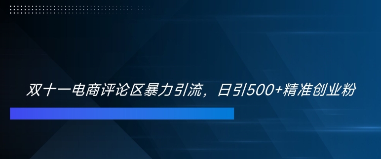 双十一电商评论区暴力引流，日引500+精准创业粉【揭秘】-腾渊论坛