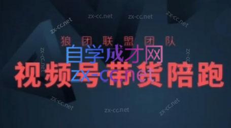 狼团联盟·2024视频号带货-腾渊网创
