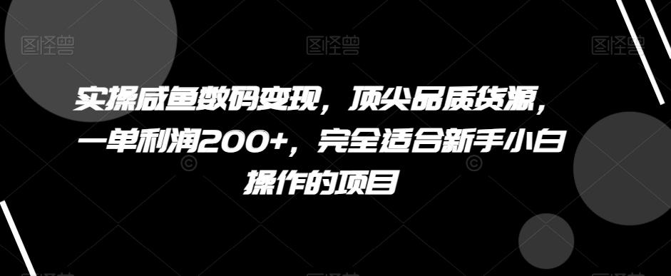 实操咸鱼数码变现，顶尖品质货源，一单利润200+，完全适合新手小白操作的项目【揭秘】-腾渊论坛
