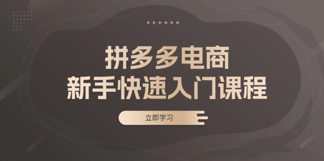 拼多多电商新手快速入门课程：涵盖基础、实战与选款，助力小白轻松上手-腾渊网创