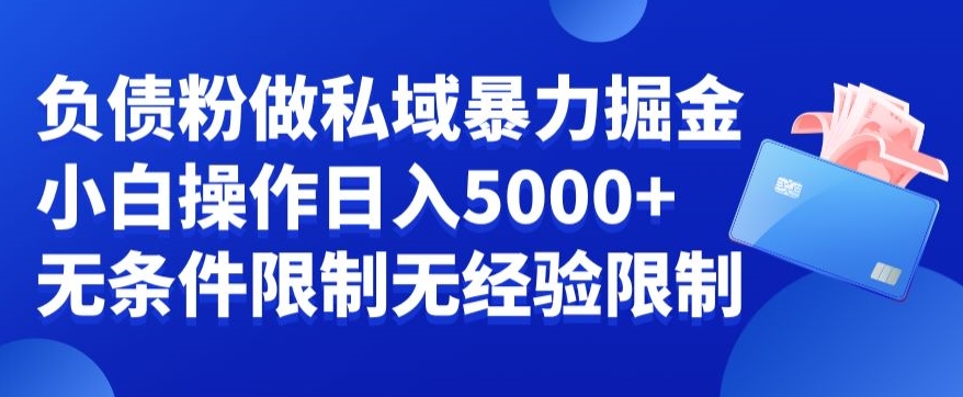 负债粉私域暴力掘金，小白操作入5000，无经验限制，无条件限制【揭秘】-腾渊论坛