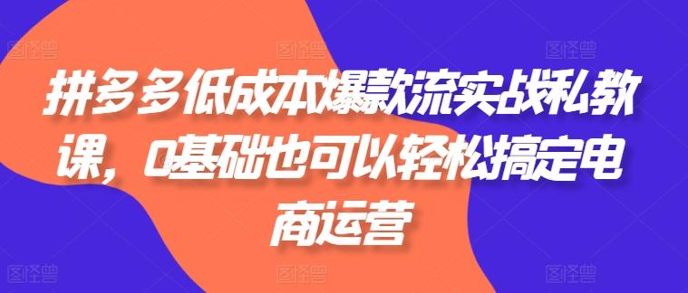 拼多多低成本爆款流实战私教课，0基础也可以轻松搞定电商运营-腾渊网创