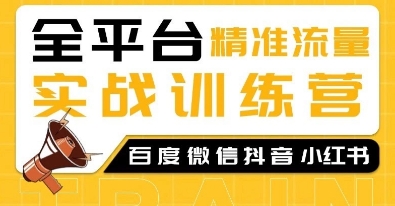 全平台精准流量实战训练营，百度微信抖音小红书SEO引流教程-腾渊网创