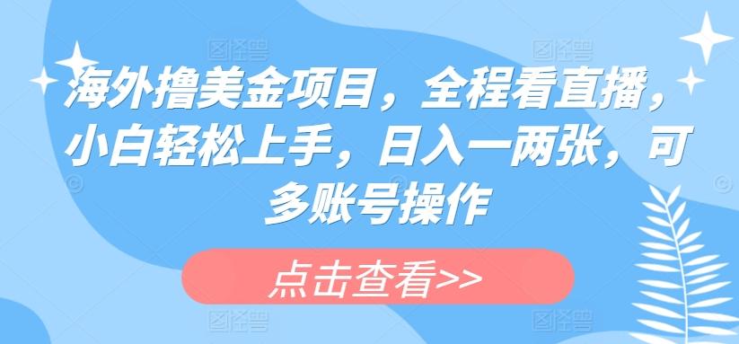 海外撸美金项目，全程看直播，小白轻松上手，日入一两张，可多账号操作【揭秘】-腾渊网创