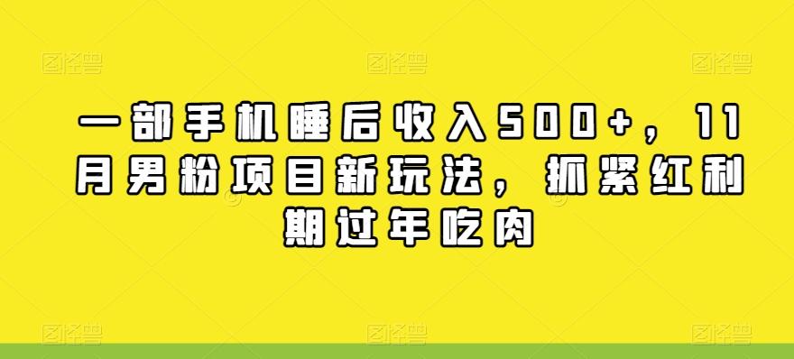 一部手机睡后收入500+，11月男粉项目新玩法，抓紧红利期过年吃肉-腾渊论坛