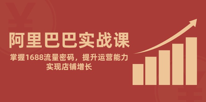 阿里巴巴实战课：掌握1688流量密码，提升运营能力，实现店铺增长-腾渊网创