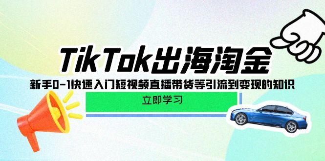 (10035期)TikTok-出海淘金，新手0-1快速入门短视频直播带货等引流到变现的知识-腾渊论坛
