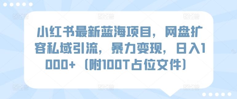 小红书最新蓝海项目，网盘扩容私域引流，暴力变现，日入1000+(附100T占位文件)【揭秘】-腾渊网创