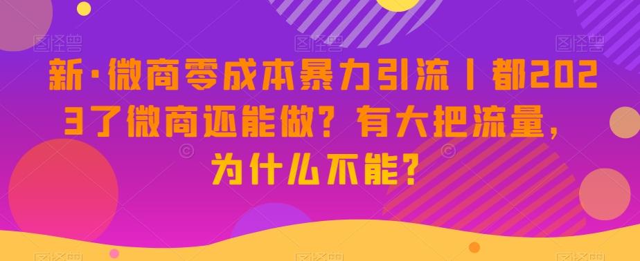新·微商零成本暴力引流丨都2023了微商还能做？有大把流量，为什么不能？-腾渊论坛
