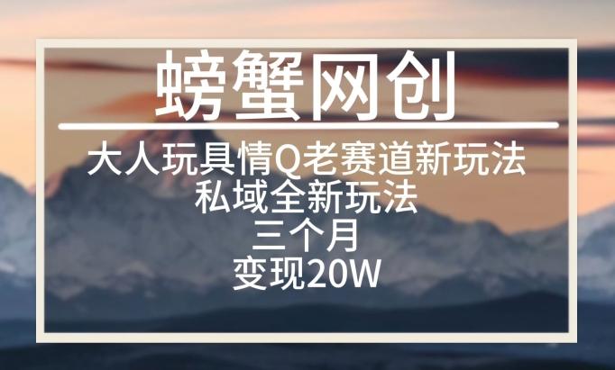 大人玩具情Q用品赛道私域全新玩法，三个月变现20W，老项目新思路【揭秘】-腾渊论坛