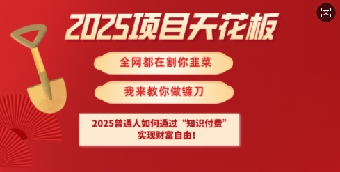 2025项目天花板普通人如何通过知识付费，实现财F自由【揭秘】-腾渊网创